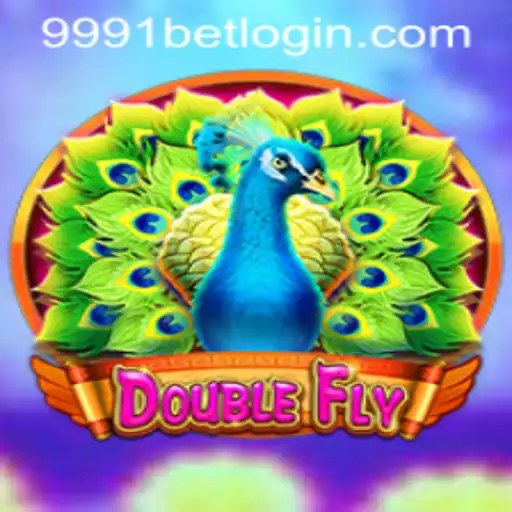 DoubleFly: The Thrilling World of Adventure Gaming